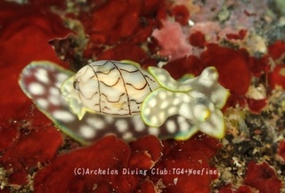 chashibori240303-y.jpg