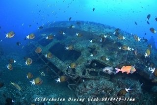 chinsen180926-04.jpg