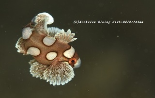 chouchoukoshou230907-k02.jpg