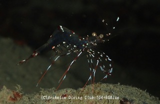 clear250130-k.jpg