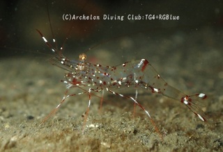 clear250204-k.jpg