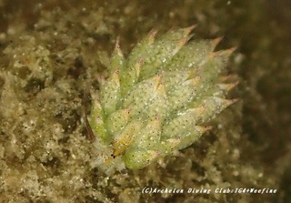 costa230811-k.jpg