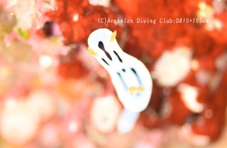 daiana231012-n.jpg