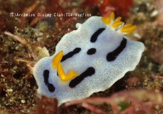 daiana231121-y.jpg