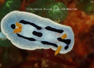 daiana231227-y.jpg
