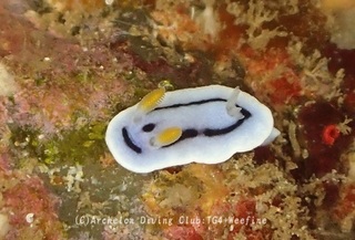 daiana240517-y.jpg