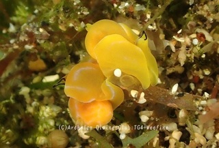 danboumiko240604-y02.jpg