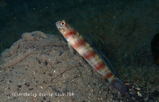datehaze240507-k.jpg