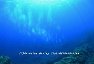 diver180806-01.jpg