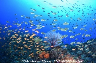 funatuke180926-08.jpg