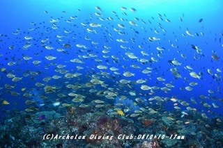 funatuke180926-09.jpg