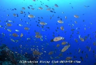 funatuke180926-10.jpg