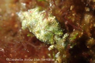 gokuraku250411-s.jpg