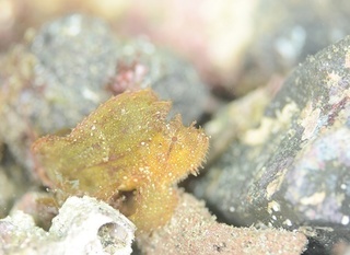 hadakaha160911-01.jpg