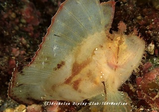 hadakaha200322-01.jpg