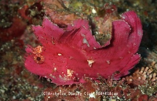 hadakaha240107-sss.jpg