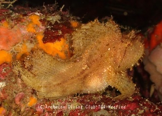 hadakaha240111-y.jpg