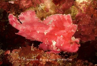 hadakaha240122-y02.jpg
