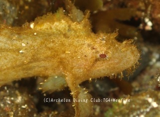 hadakaha240217-n.jpg