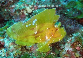 hadakaha240410-y.jpg