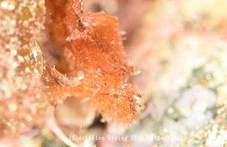 hadakaha240805-n.jpg