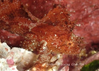 hadakaha240807-n.jpg