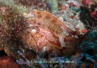 hadakaha241205-y.jpg