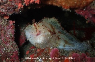 hadakaha250324-y.jpg