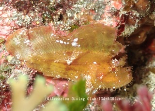 hadakaha250401-y03.jpg
