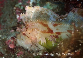 hadakaha250407-y.jpg