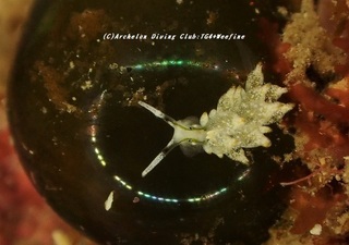 hadakamo201110.jpg