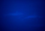 hanmer061208-2.jpg