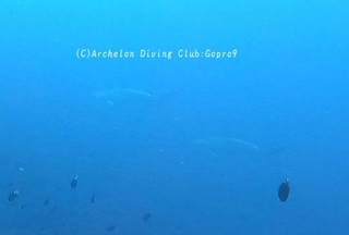 hanmer240218-n.jpg