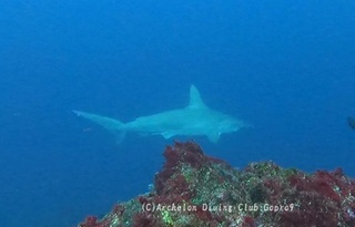 hanmer240411-n.jpg