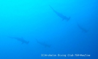 hanmer240415-n04.jpg