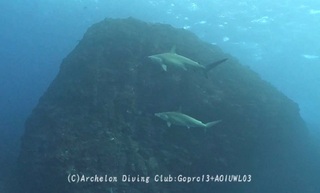 hanmer250121-n-01.jpg