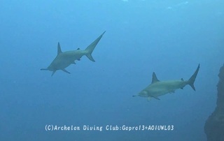 hanmer250121-n-03.jpg