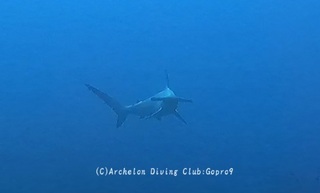 hanmer250309-y02.jpg