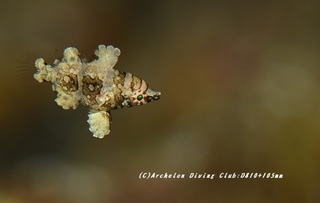 hashinagabera230829-n.jpg