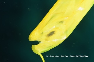 herayagara230828-n.jpg