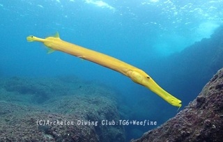 herayagara240416-n.jpg