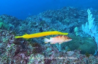 herayagara250105-n.jpg