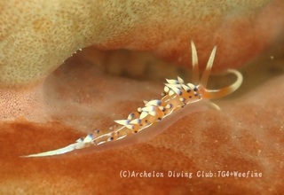 hibusa231018-y.jpg