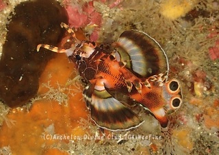 hireboshi240207-y.jpg