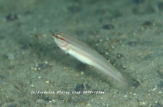 hohobeni230907-k.jpg