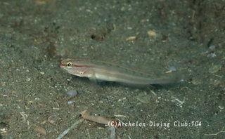 hohobeni241002-k.jpg