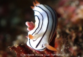 honnori241209-y.jpg