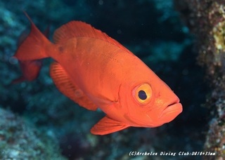houseki200605-01.jpg