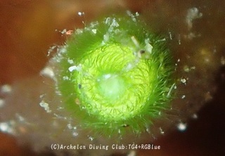 hudenoho241205-y.jpg
