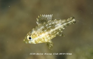 huedai230907-k.jpg